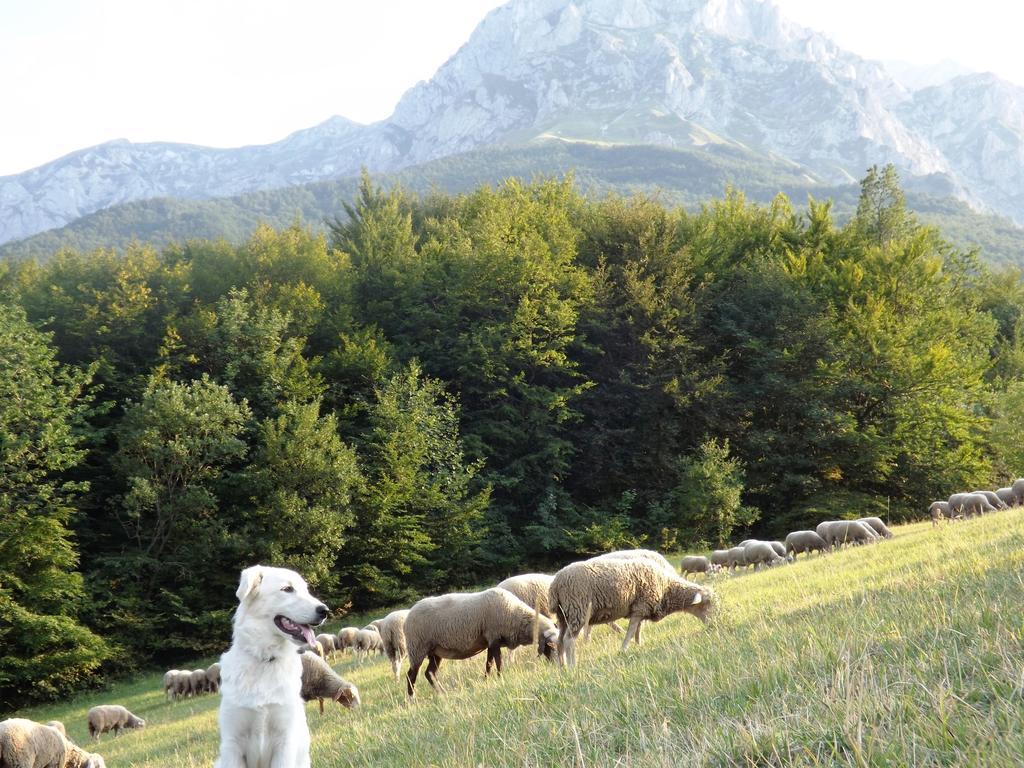 فندق Castelliفي  Agriturismo Lu Formaggio المظهر الخارجي الصورة