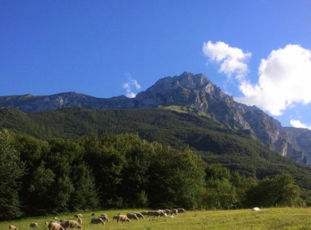 فندق Castelliفي  Agriturismo Lu Formaggio المظهر الخارجي الصورة